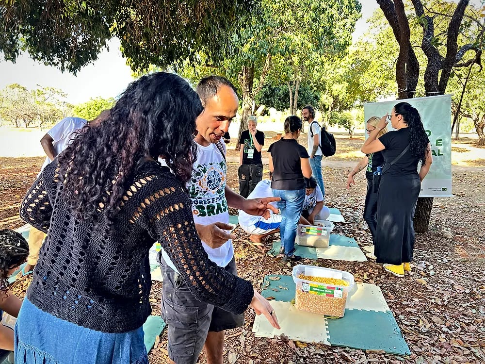 Cores e Sabores do Brasil no Escola Meninos e Meninas do Parque — registro 1